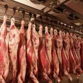 Вступает в силу постановление правительства РФ о снижении импортных квот на мясо на 2012г.