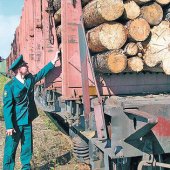 Экспорт леса должен осуществляться строго по инструкции