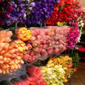 Правила таможенного оформления цветочной продукции