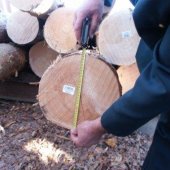 Единство методов измерения леса – минимизация рисков