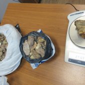 Почти 10 кг необработанного янтаря выявили таможенники под обшивкой салона автомобиля, следовавшего из Украины